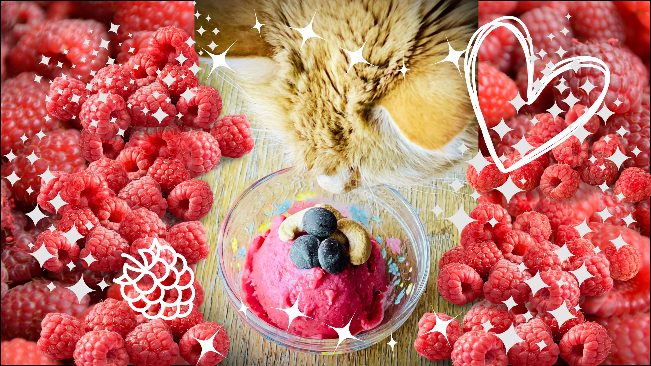 An image of a cute cat checking out some fresh made raspberry ice cream. They are surrounded by heaps of raspberries, a heart, and sparkles.