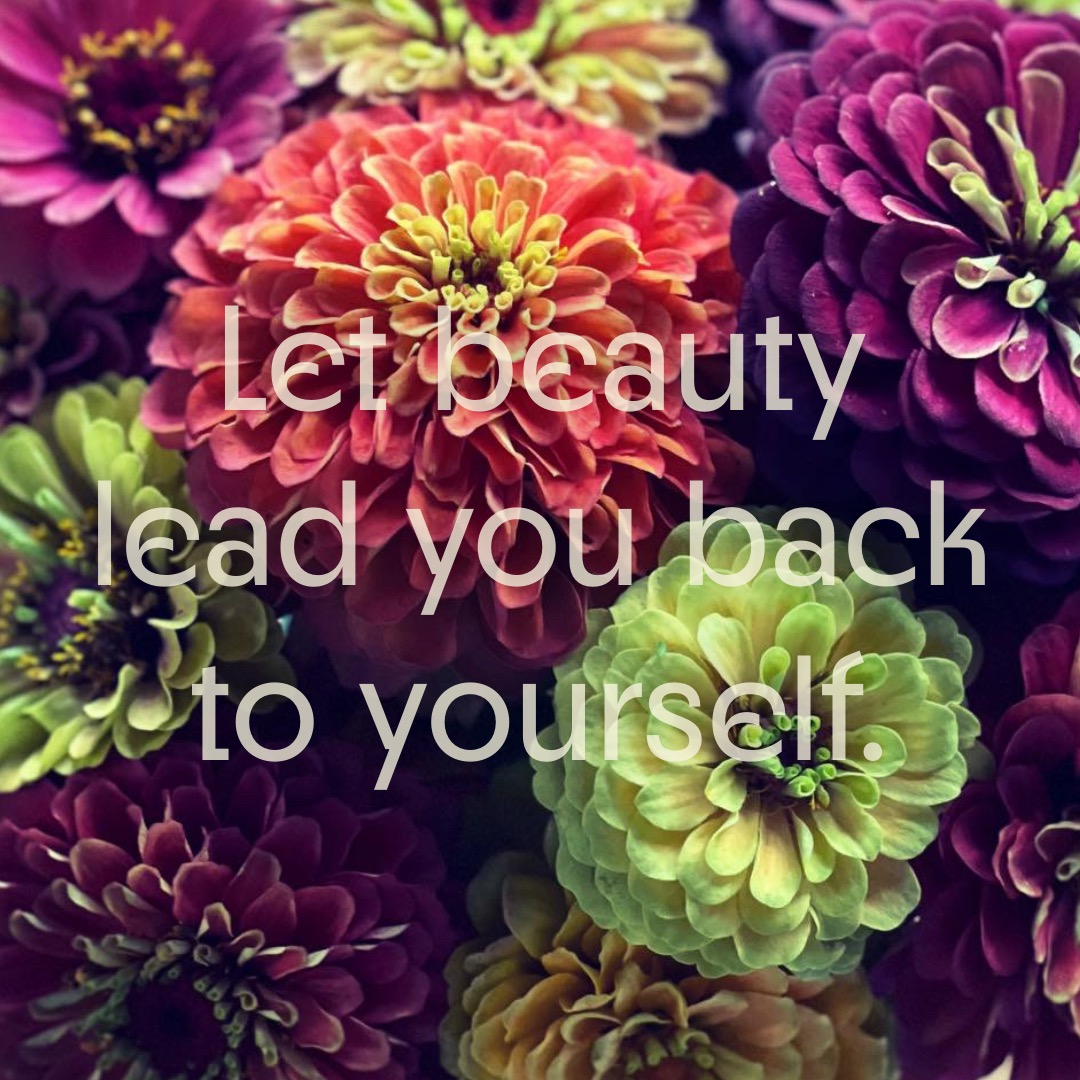 A Beautiful Life: Practicing Wholeness, Harmony, and Radiance Through Nature