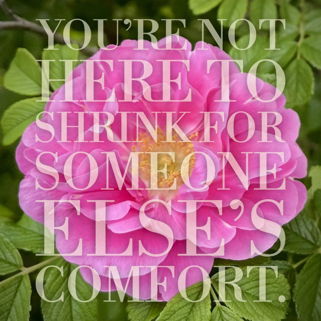 They Go Low, We Go High: Reclaiming Your Energy in a World That Tries to Diminish It