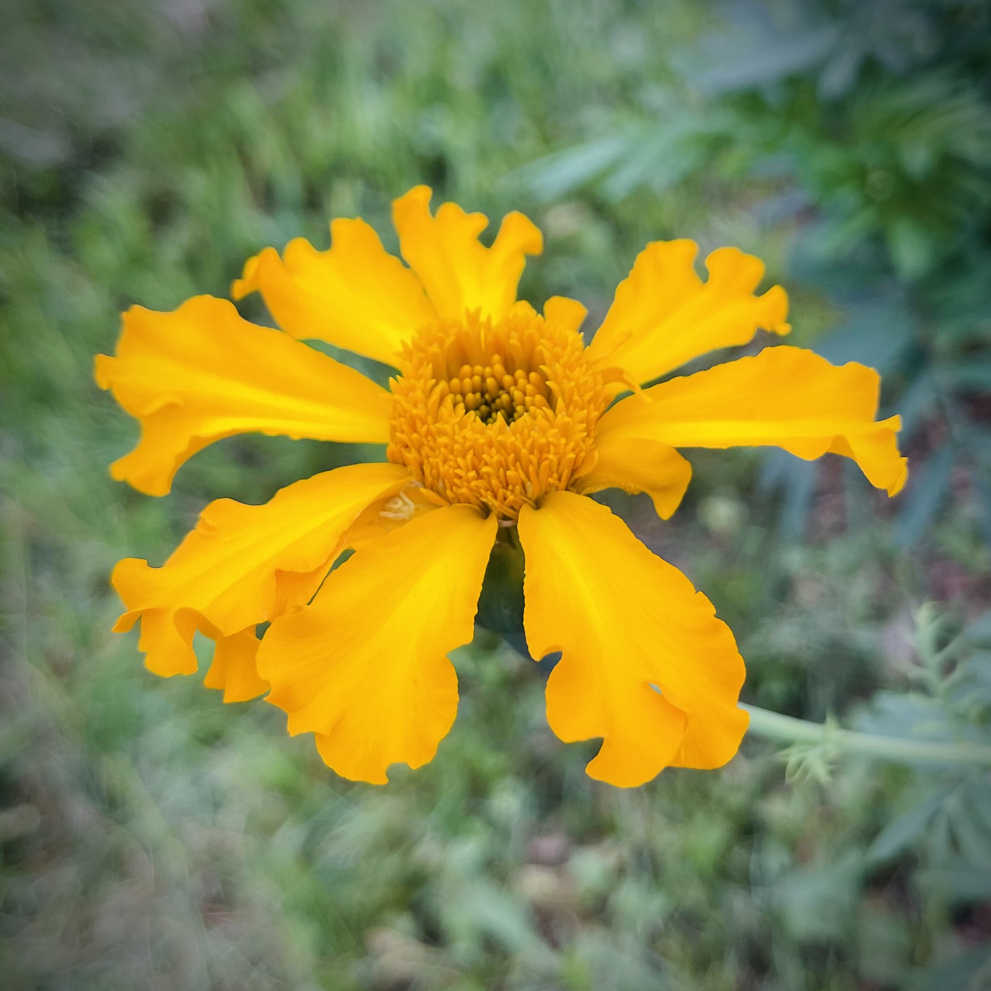 Hunny, You Shrunk My Hippocampus: Choosing New Paths and Reclaiming My Life.