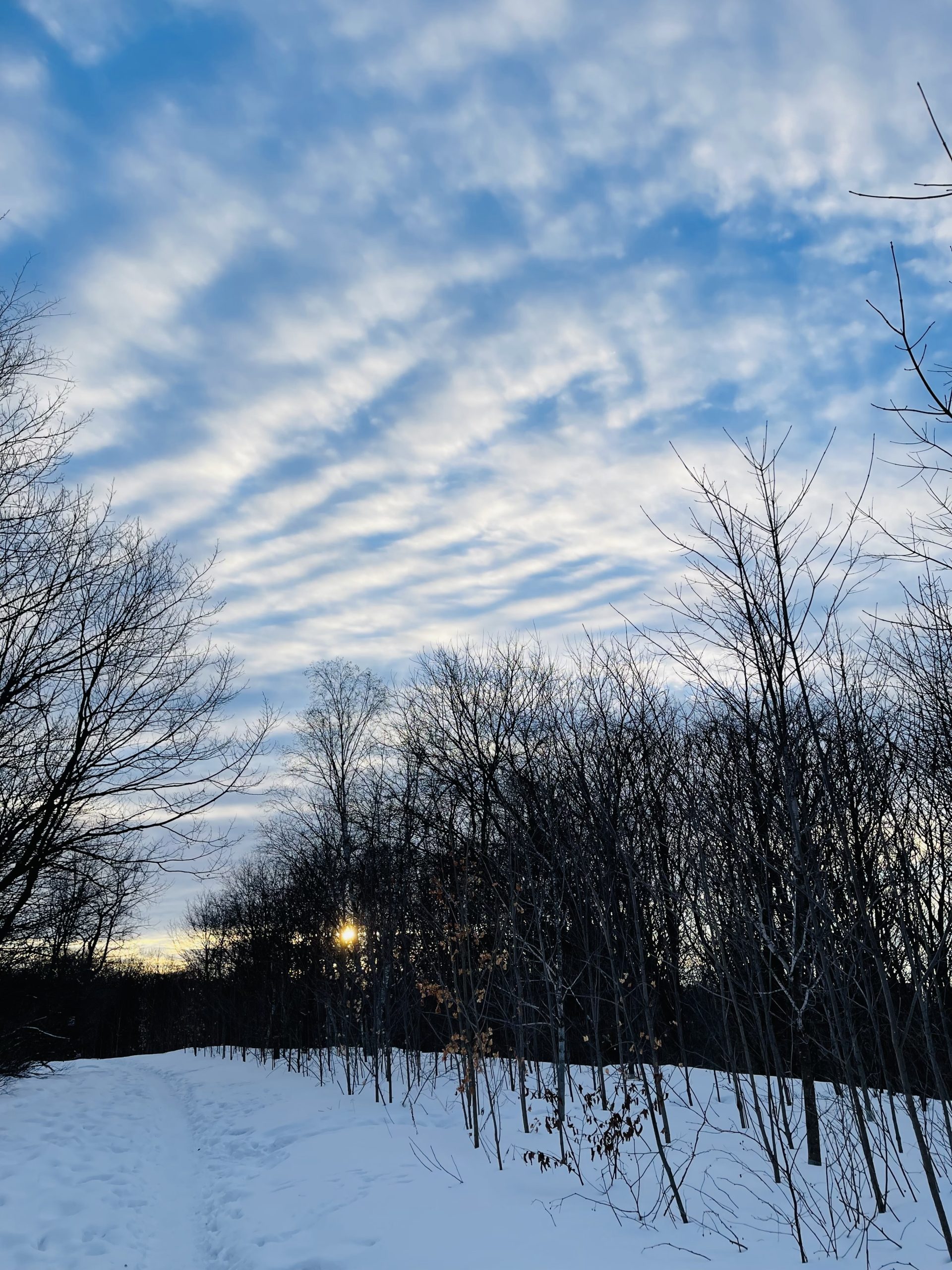 Nature photography by Tamara Schmidt