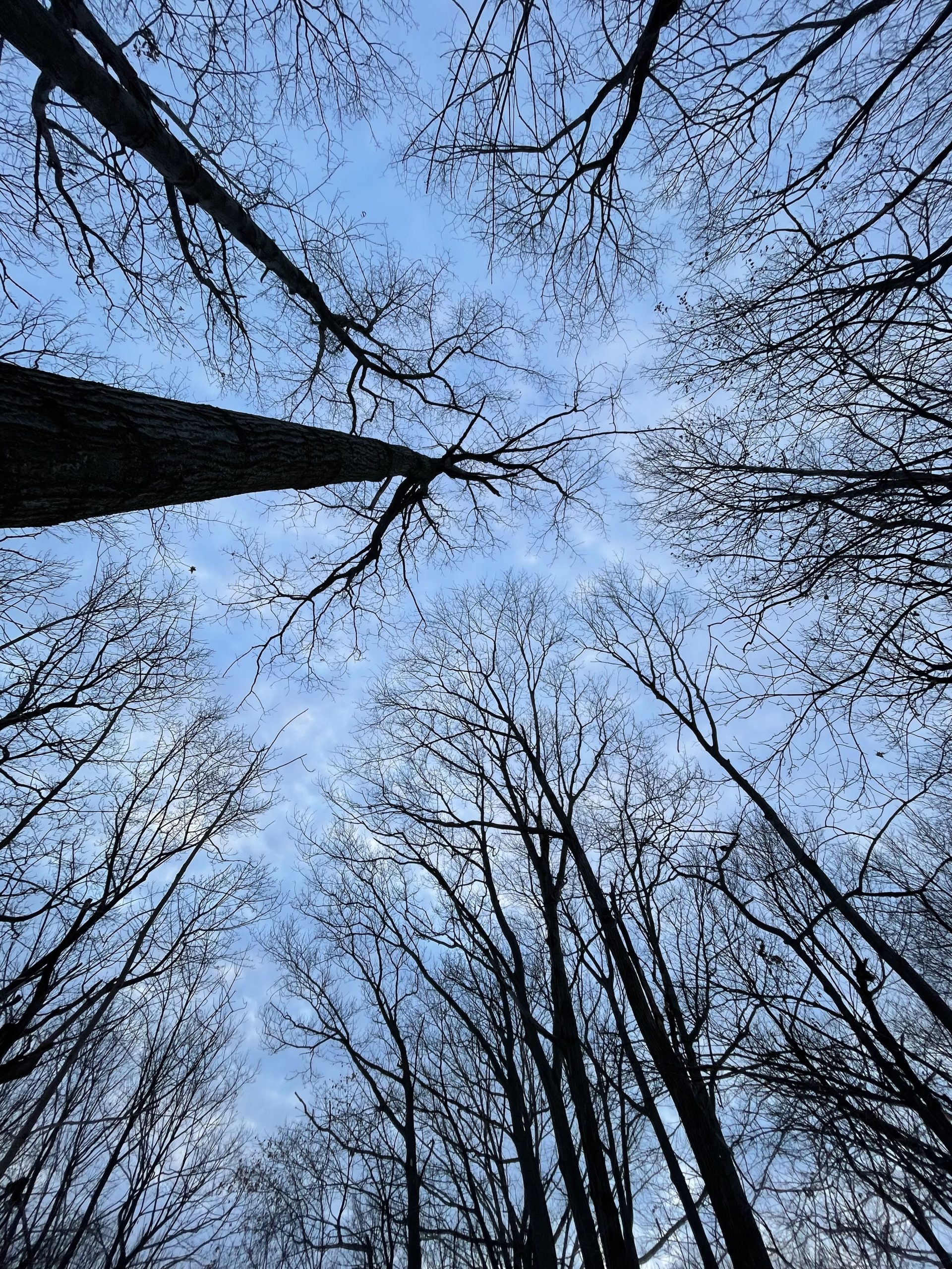 And What If You Can? Pronoia + Nature-Based Goal Setting for Sensitive Women