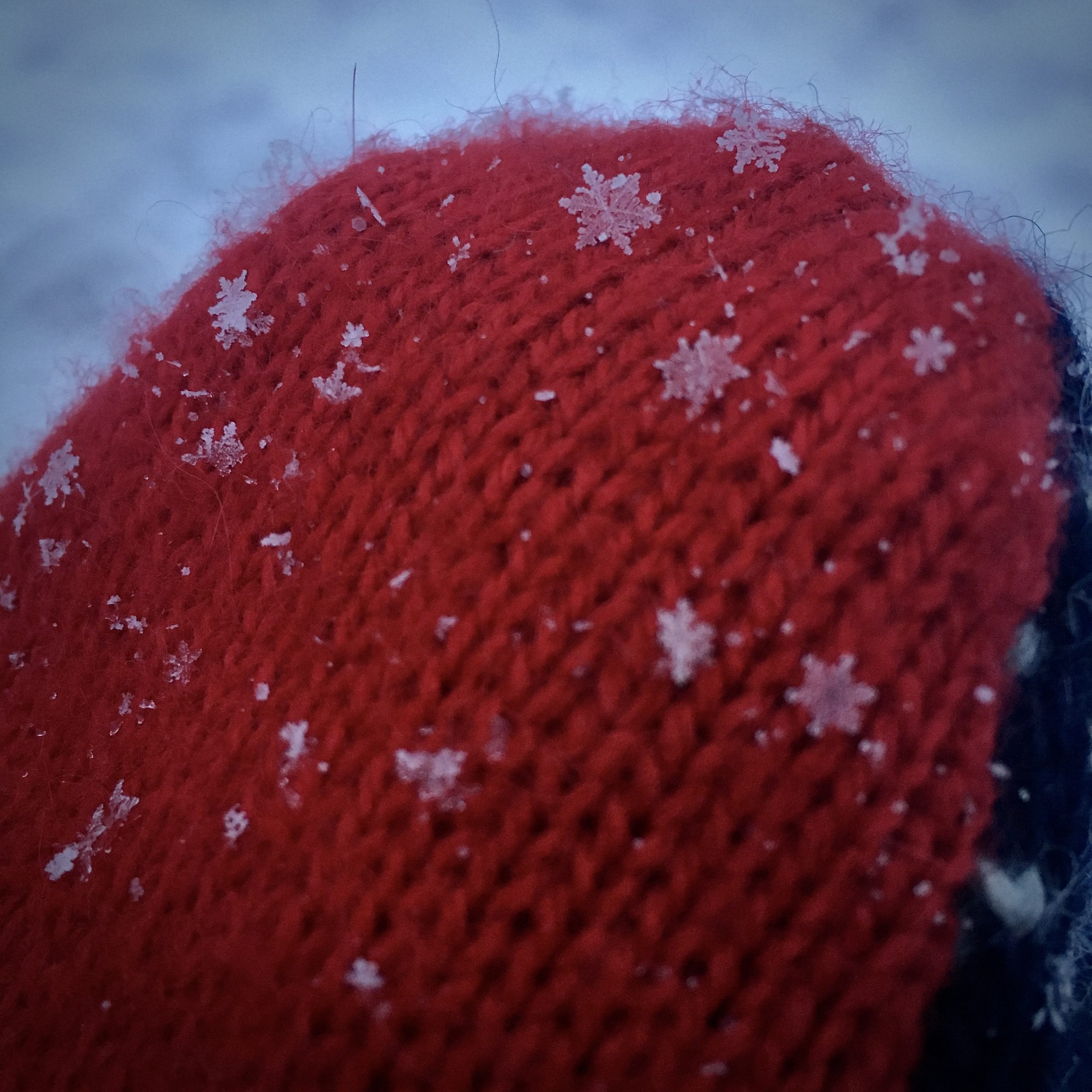 Keeping Your Cool at Family Gatherings: The Go-Outside Reset