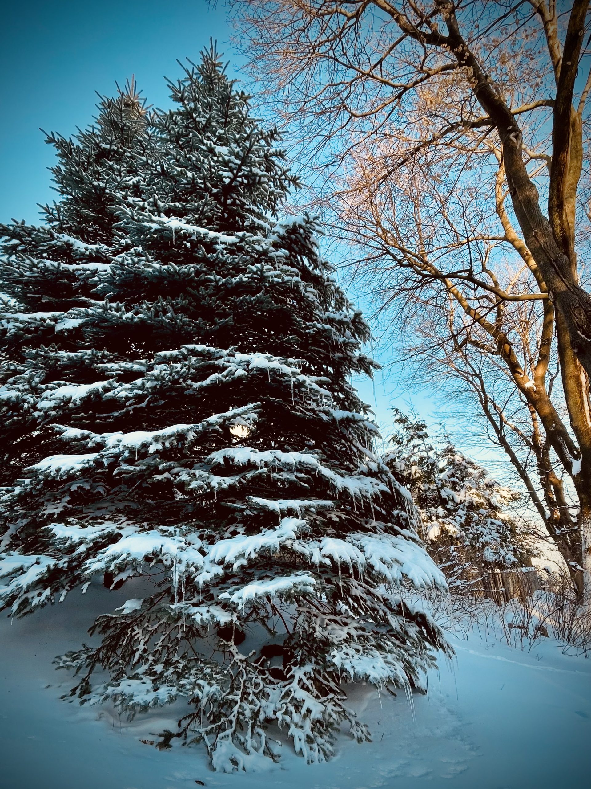 A Meaningful Holiday on Your Own