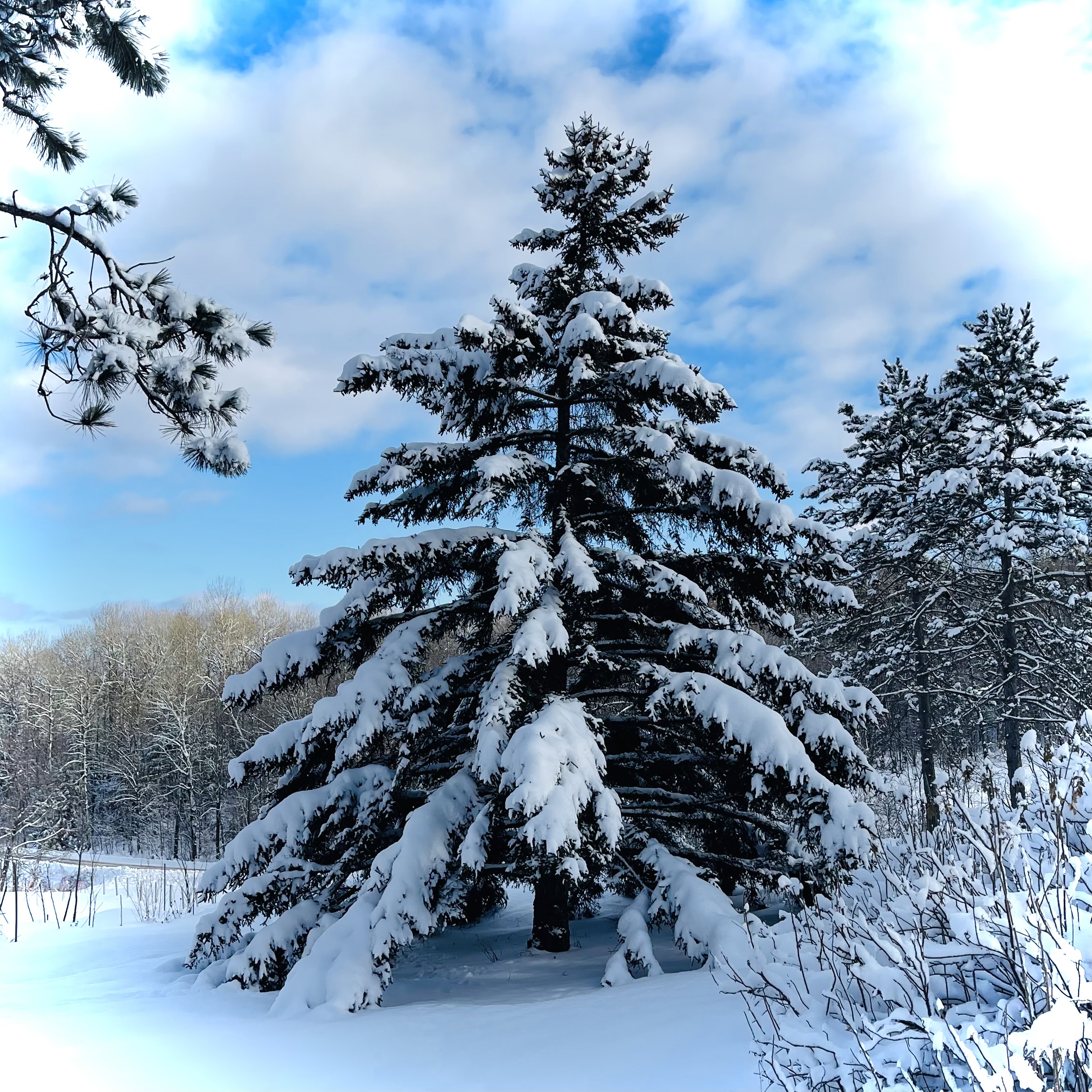 Let’s Not New Year, New You: A Kinder January Reset