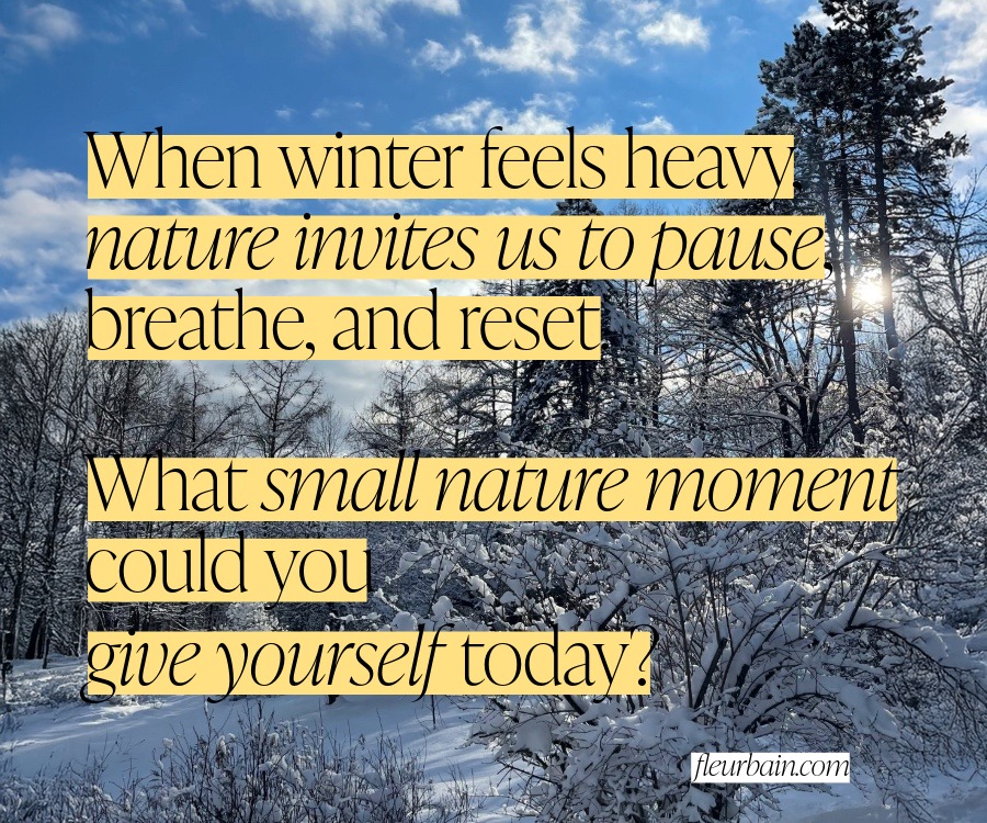Tending Our Fire: How Winter Nature Connection Supports Women’s Mental Health