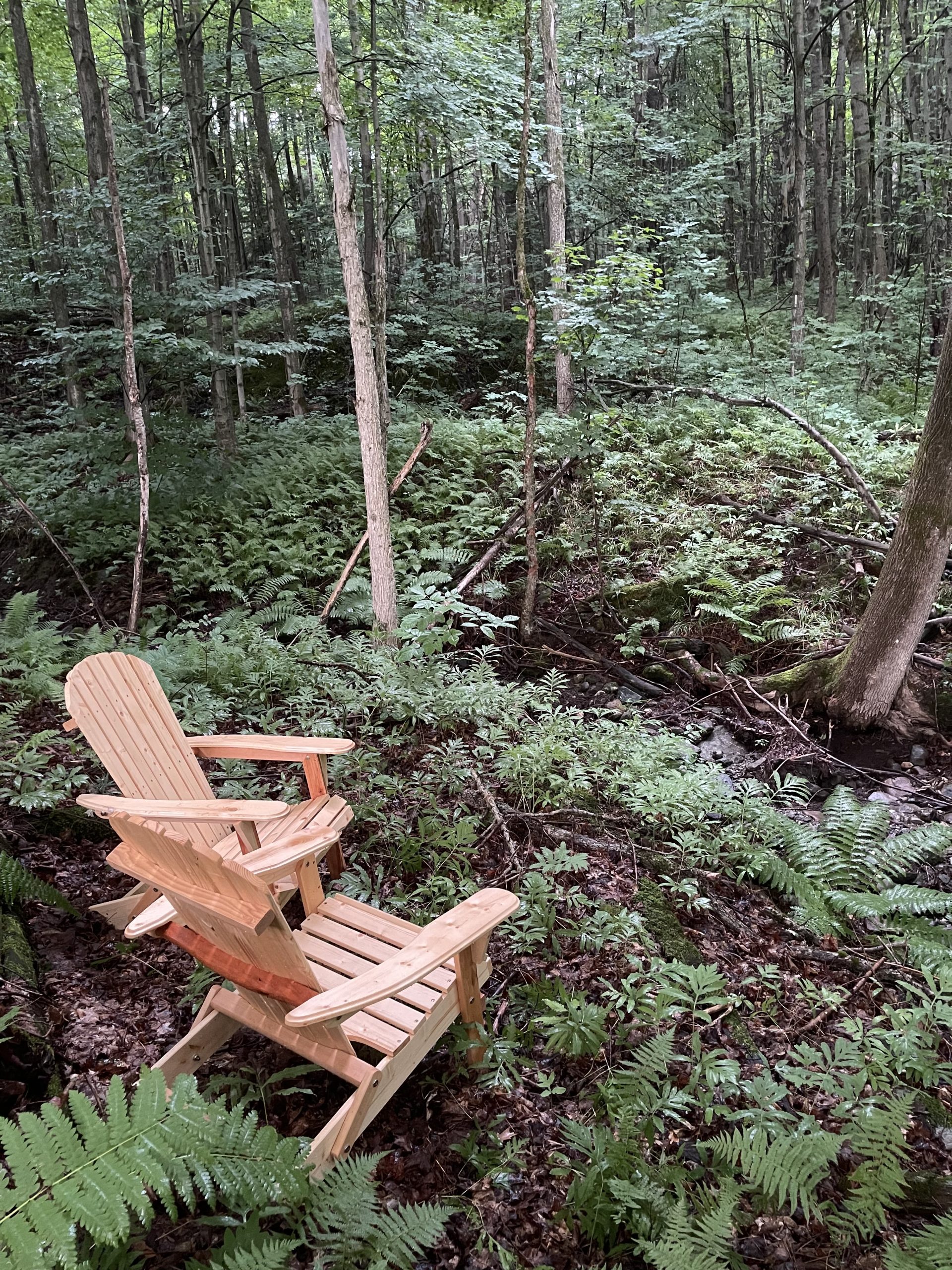 Adirondack chairs beside a stream in the forest, Eastern Townships