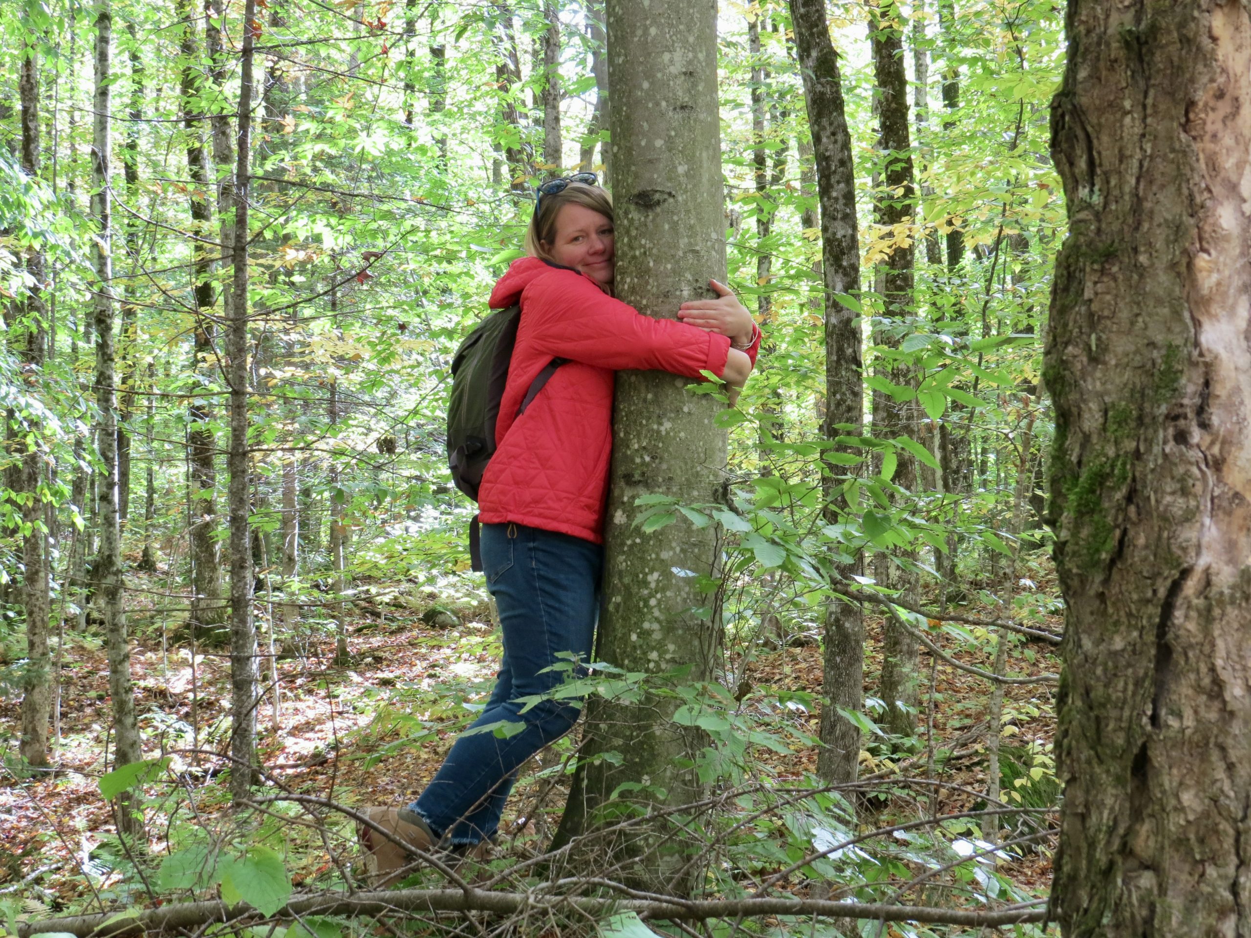 Tamara Schmidt en forêt, Cantons-de-l'Est